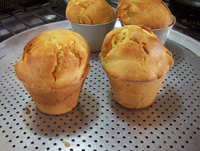 QUEQUES ,BUDINES O MAGDALENAS  …. PUDDING CUPCAKES