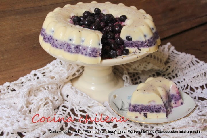 POSTRE GELATINA DE LECHE Y FRUTAS