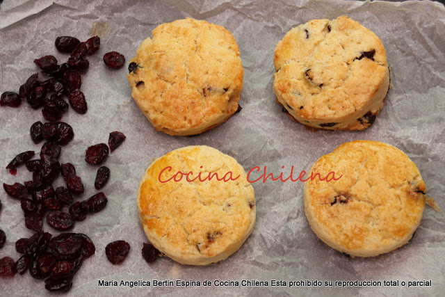 SCONES CON  CRANBERRY