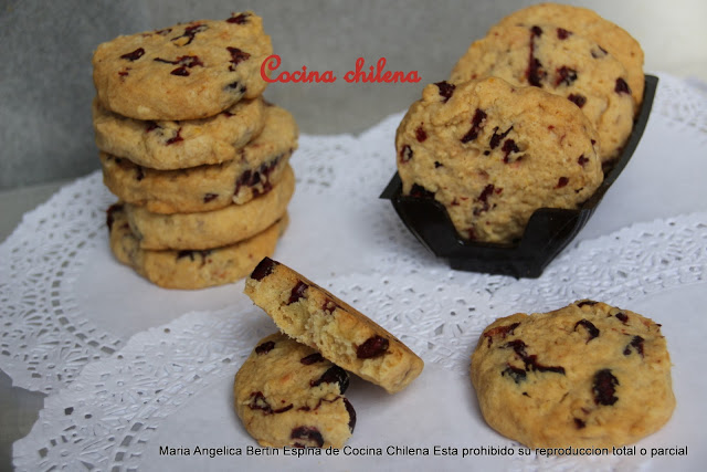 GALLETAS AVENA CON ARÁNDANOS SECOS