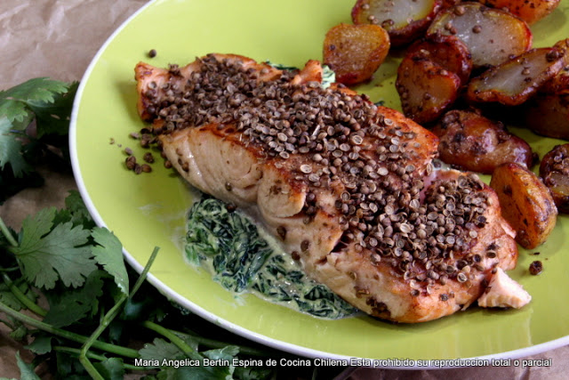 SALMON CON COSTRA DE CILANTRO